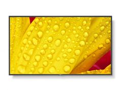 Панель LCD 43 NEC ME431 18/7, UHD, 400cd/m2, D-LED backlight, SDM Slot, CM-Slot