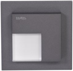 Светильник Zamel 07-221-31 TIMO Графит/Хол.бел. в монт.коробку, 230V AC