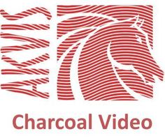 Право на использование (электронно) Akvis Charcoal Video Home
