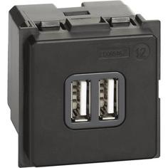 Зарядное устройство USB BTicino K4285C2 LIVING NOW стандарты А-А, 3000мА, 2 модуля