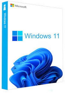 ПО (комплект) ОЕМ Microsoft Windows Pro 11 64Bit Eng Intl 1pk DSP OEI DVD