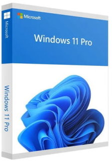 ПО Microsoft Windows Pro 11 64-bit Eng Intl non-EU/EFTA USB FPP