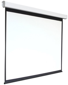 Экран Digis DSEF-4304 Electra-F, формат 4:3, 120", 248x190, раб поверхность 240x180, MW