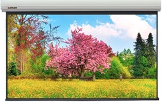 Экран Lumien LMLC-100110A с электроприводом Master Large Control 449x700см(раб.обл. 431x690см) (320") Matte White FiberGlass, черн. кайма по периметру
