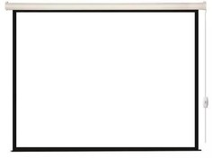 Экран Lumien LEC-100113 Eco Control 111x180 см, Matte White черная кайма по периметру 16:10
