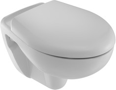 Подвесной унитаз с сиденьем микролифт Jacob Delafon Brive E4345G-00 + E70014-00