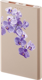 Внешний аккумулятор InterStep