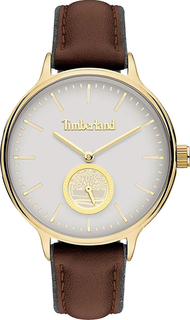 Наручные часы Timberland TBL.15645MYG/01