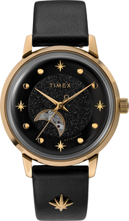 Наручные часы Timex TW2U54600