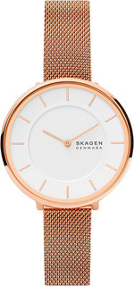 Наручные часы Skagen SKW3013