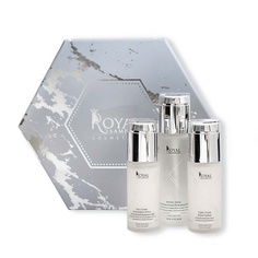 ROYAL SAMPLES Косметический набор Perfect Skin 24/7