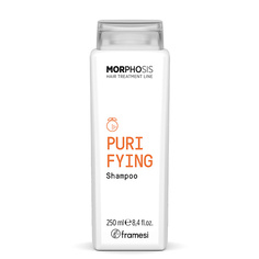 Шампуни Framesi Шампунь от перхоти для глубокого очищения PURIFYING SHAMPOO MORPHOSIS 250