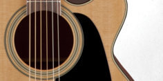 P1NC NEX CUTAWAY Takamine