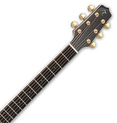 TT SERIES CP7MO-TT Takamine