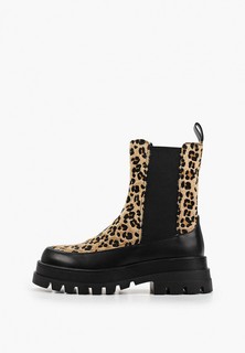 Ботинки Vivian Royal 