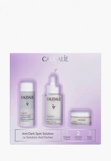 Набор для ухода за лицом Caudalie VINOPERFECT (Сыв-ка-сияние п/пигментных пятен 30 мл, эссенция-тоник 50 мл, дневной крем для лица 15 мл)