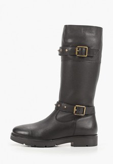 Сапоги Ralf Ringer 