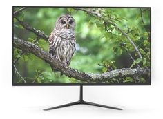 Монитор NPC 23.8" MF2403-V черный VA