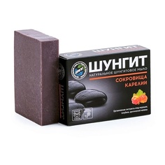Мыло твердое ПРИРОДНАЯ АПТЕКА ШУНГИТ Шунгитовое мыло Сокровища Карелии 100
