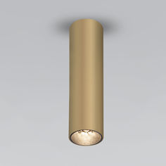 Светильник Накладной светодиодный светильник Elektrostandard Pika 25031/LED золото a061536