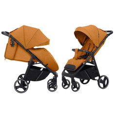 Прогулочные коляски Прогулочная коляска Carrello Bravo