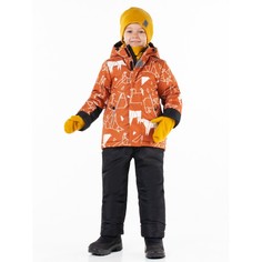 Утеплённые комплекты Boom by Orby Комплект зимний для мальчика 100517