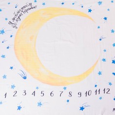 Пеленки Пеленка MamSis муслиновая Фотопеленка До луны и обратно 120х120