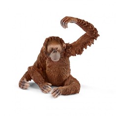 Игровые фигурки Schleich Фигурка Орангутан самка