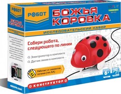 Конструкторы Конструктор ND Play Робот Божья коровка