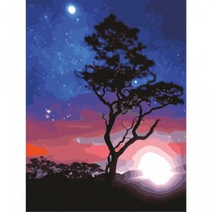 Картины по номерам Остров Сокровищ Картина по номерам Звездная ночь 40х50 см
