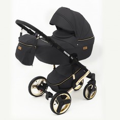 Коляски 2 в 1 Коляска Ray Ultra Gold 2 в 1