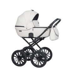 Коляски 2 в 1 Коляска Riko Basic Montana Ecco Prestige 2 в 1