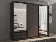 Шкафы Шкаф РВ-Мебель купе 3-х дверный Кааппи 3 240х45 см (Венге)