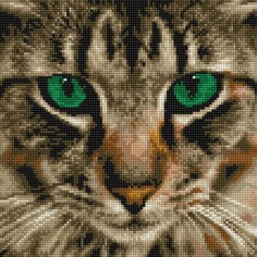 Картины своими руками Molly Картины мозаикой Бенгальская кошка 30х30 см