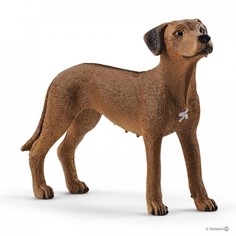 Игровые фигурки Schleich Фигурка Родезийский риджбек