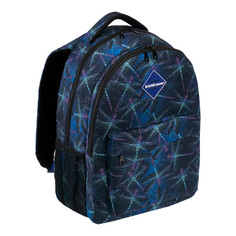 Школьные рюкзаки ErichKrause Ученический рюкзак с двумя отделениями EasyLine Neon Dragonflies 20 л