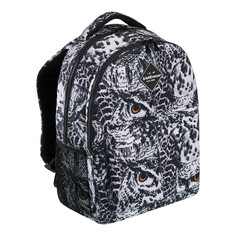Школьные рюкзаки ErichKrause Ученический рюкзак с двумя отделениями EasyLine Night Owl 20 л