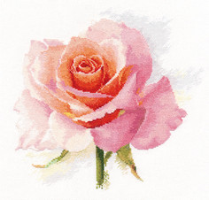 Наборы для вышивания Алиса-К Набор для вышивания Дыхание розы Нежность 24х24 см