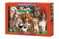 Castorland Пазлы Собаки (3000 элементов)