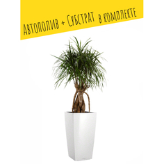 Товары для дачи и сада Lechuza Напольное кашпо с автополивом Cubico 30 с субстратом 56.5х29.5х29.5 см 14 л