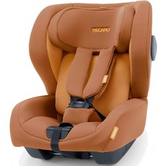 Группа 1 (от 9 до 18 кг) Автокресло Recaro Kio