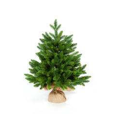 Искусственные елки Crystal Trees Ель Триумф 60 см