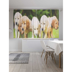 Шторы JoyArty Классические шторы Бочонок с собаками серия Oxford DeLux 2 полотна 145x180 см