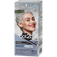 Косметика для мамы got2b Набор для тонирования волос Bright-Pastel 098 Серебристый металлик 142 мл