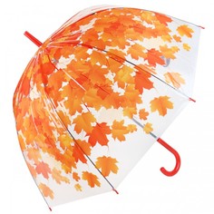 Зонты Зонт Ami&Co (AmiCo) Листья