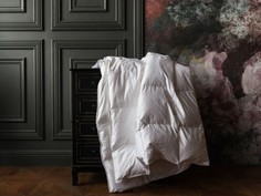 Одеяла Одеяло German Grass пуховое кассетное Grand Down Light 200x200 см