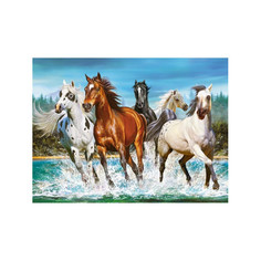 Castorland Пазлы Бегущие лошади (2000 элементов)