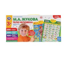 Обучающие плакаты Умка Плакат двусторонний Музыкальная азбука Тело человека 48 шт. Umka