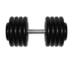 Спортивный инвентарь MB Barbell Гантель профи 43.5 кг