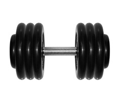 Спортивный инвентарь MB Barbell Гантель профи 36 кг